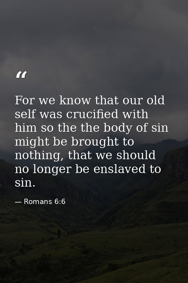 For we know that our old self was crucified with him so the the body of sin might be brought to nothing, that we should  — Romans 6:6
