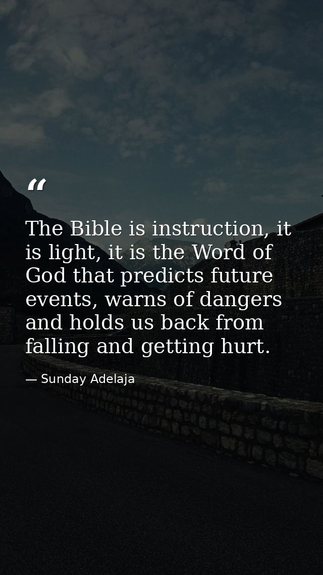 The Bible is instruction, it is light, it is the Word of God that predicts future events, warns of dangers and holds us  — Sunday Adelaja