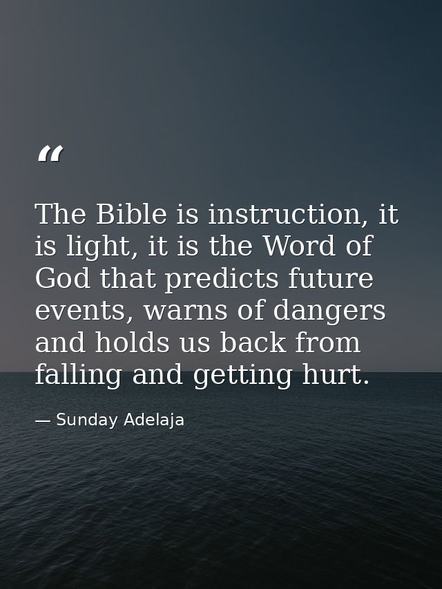 The Bible is instruction, it is light, it is the Word of God that predicts future events, warns of dangers and holds us  — Sunday Adelaja