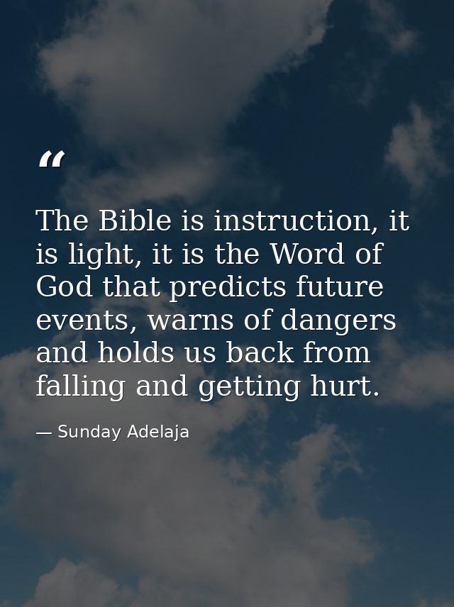 The Bible is instruction, it is light, it is the Word of God that predicts future events, warns of dangers and holds us  — Sunday Adelaja