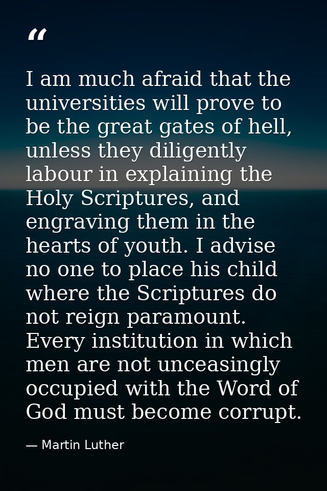 I am much afraid that the universities will prove to be the great gates of hell, unless they diligently labour in explai — Martin Luther
