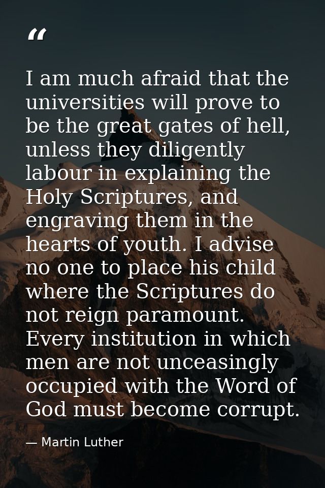 I am much afraid that the universities will prove to be the great gates of hell, unless they diligently labour in explai — Martin Luther