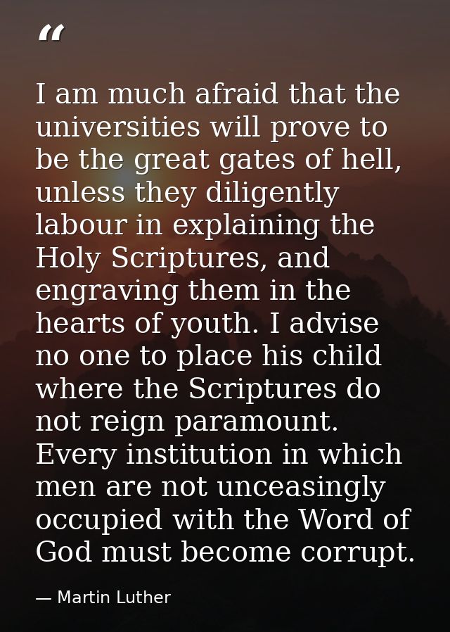 I am much afraid that the universities will prove to be the great gates of hell, unless they diligently labour in explai — Martin Luther