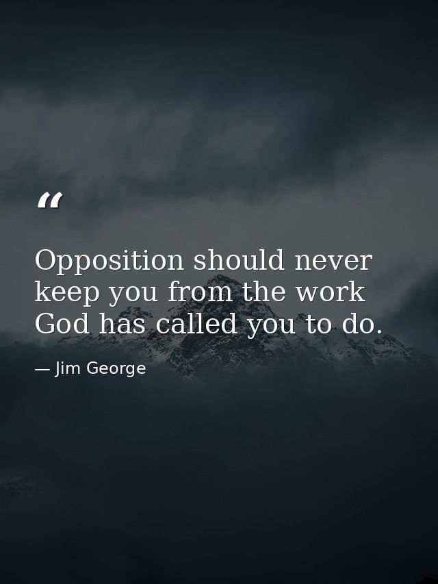 Opposition should never keep you from the work God has called you to do. — Jim George