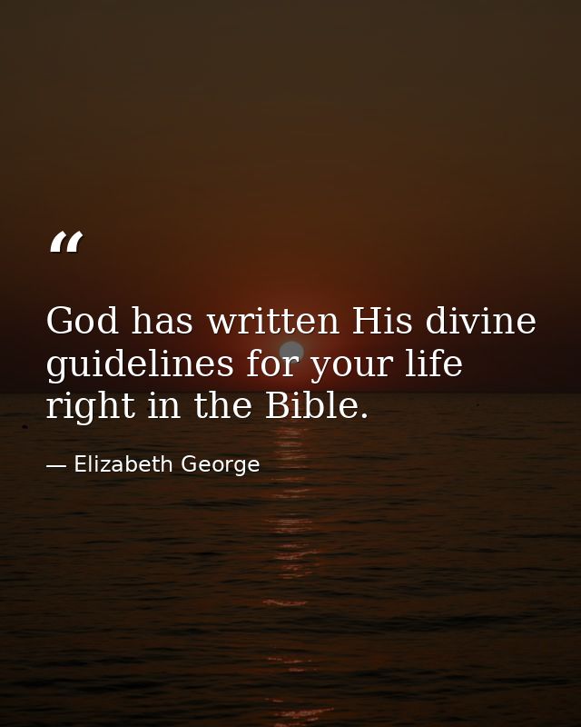 God has written His divine guidelines for your life right in the Bible. — Elizabeth George
