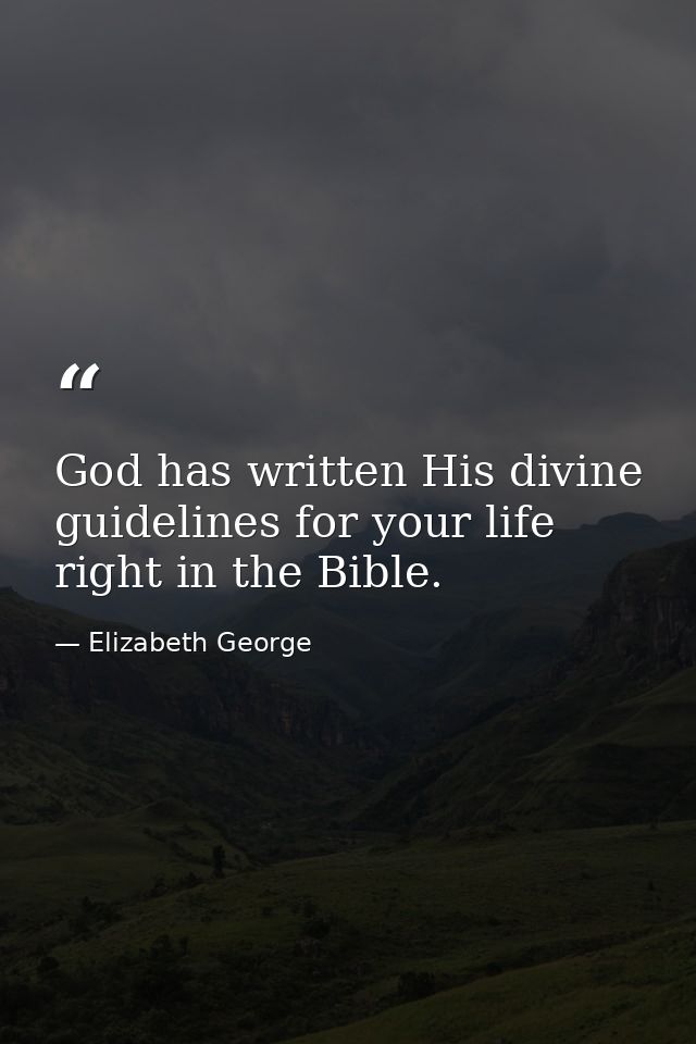God has written His divine guidelines for your life right in the Bible. — Elizabeth George