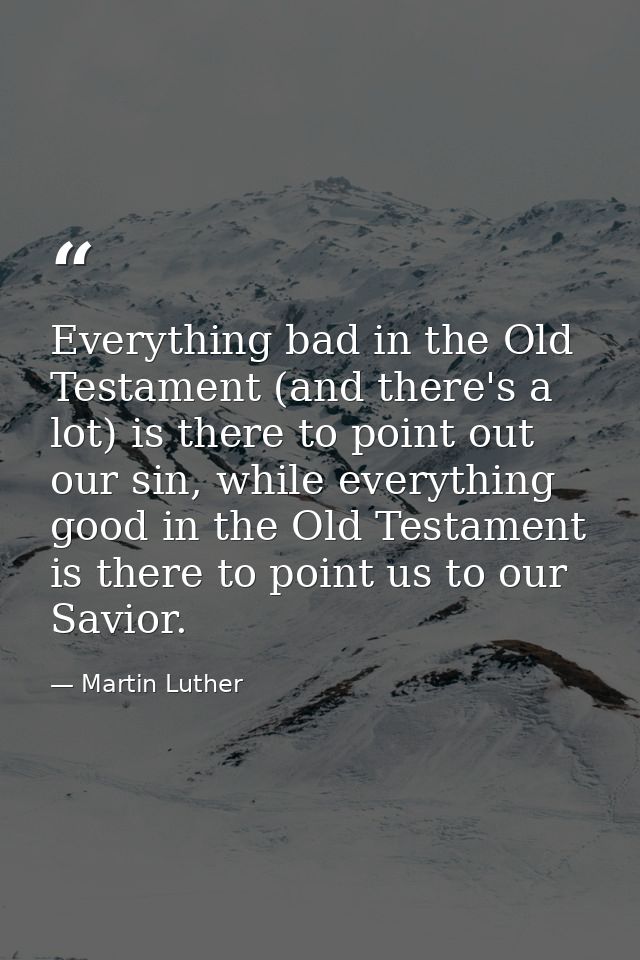 Everything bad in the Old Testament (and there's a lot) is there to point out our sin, while everything good in the Old  — Martin Luther