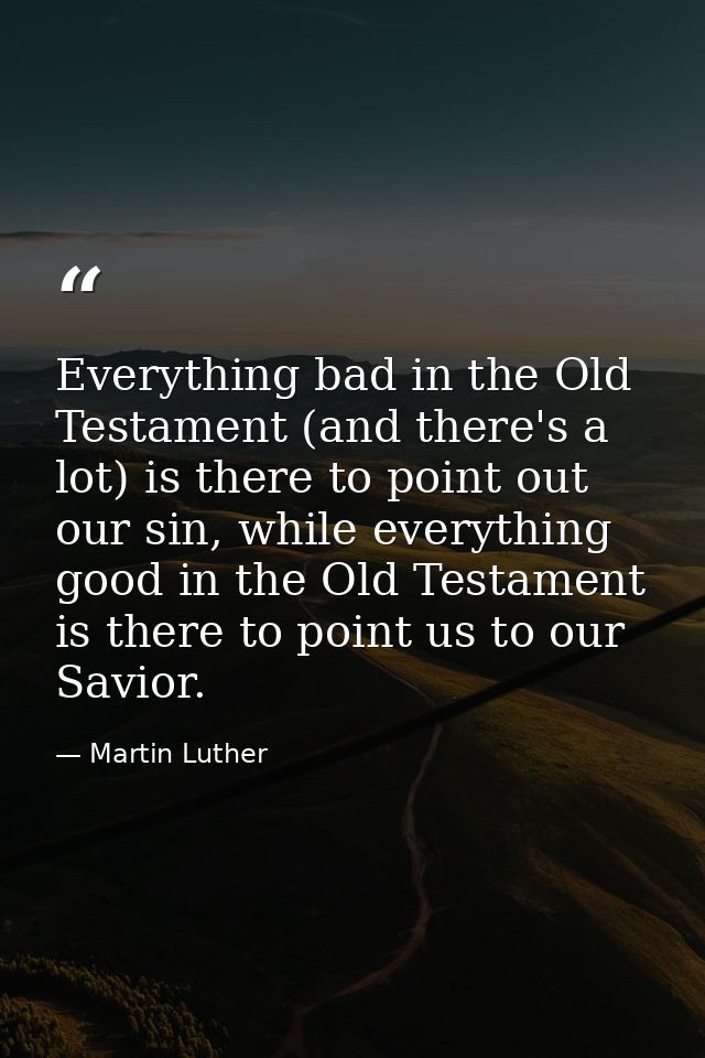 Everything bad in the Old Testament (and there's a lot) is there to point out our sin, while everything good in the Old  — Martin Luther