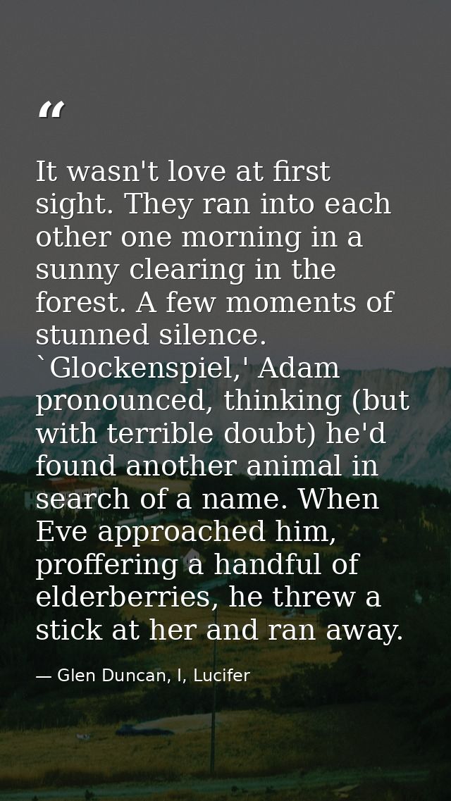 It wasn't love at first sight. They ran into each other one morning in a sunny clearing in the forest. A few moments of  — Glen Duncan, I, Lucifer