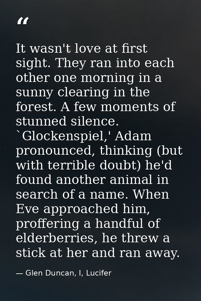 It wasn't love at first sight. They ran into each other one morning in a sunny clearing in the forest. A few moments of  — Glen Duncan, I, Lucifer
