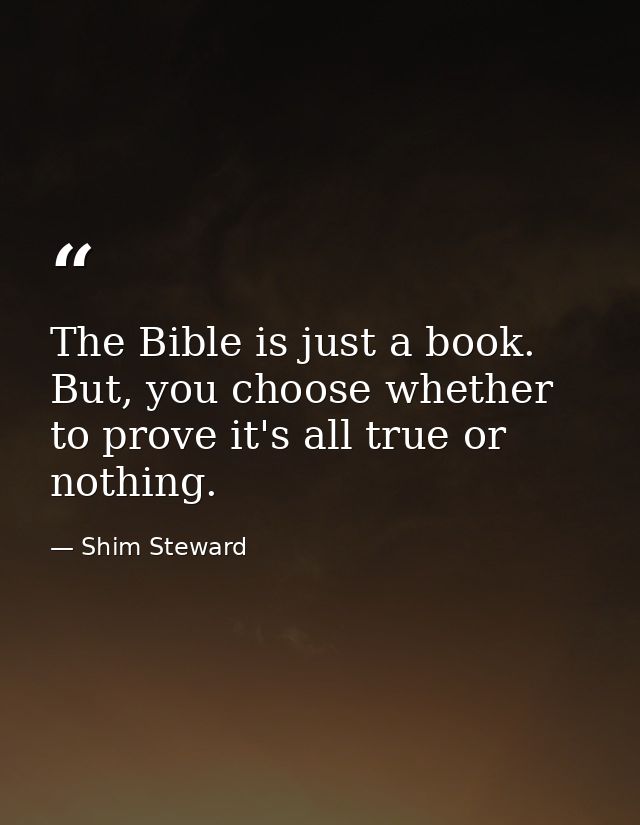 The Bible is just a book. But, you choose whether to prove it's all true or nothing. — Shim Steward