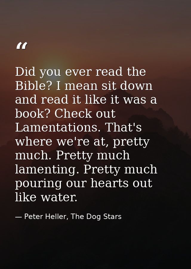 Did you ever read the Bible? I mean sit down and read it like it was a book? Check out Lamentations. That's where we're  — Peter Heller, The Dog Stars