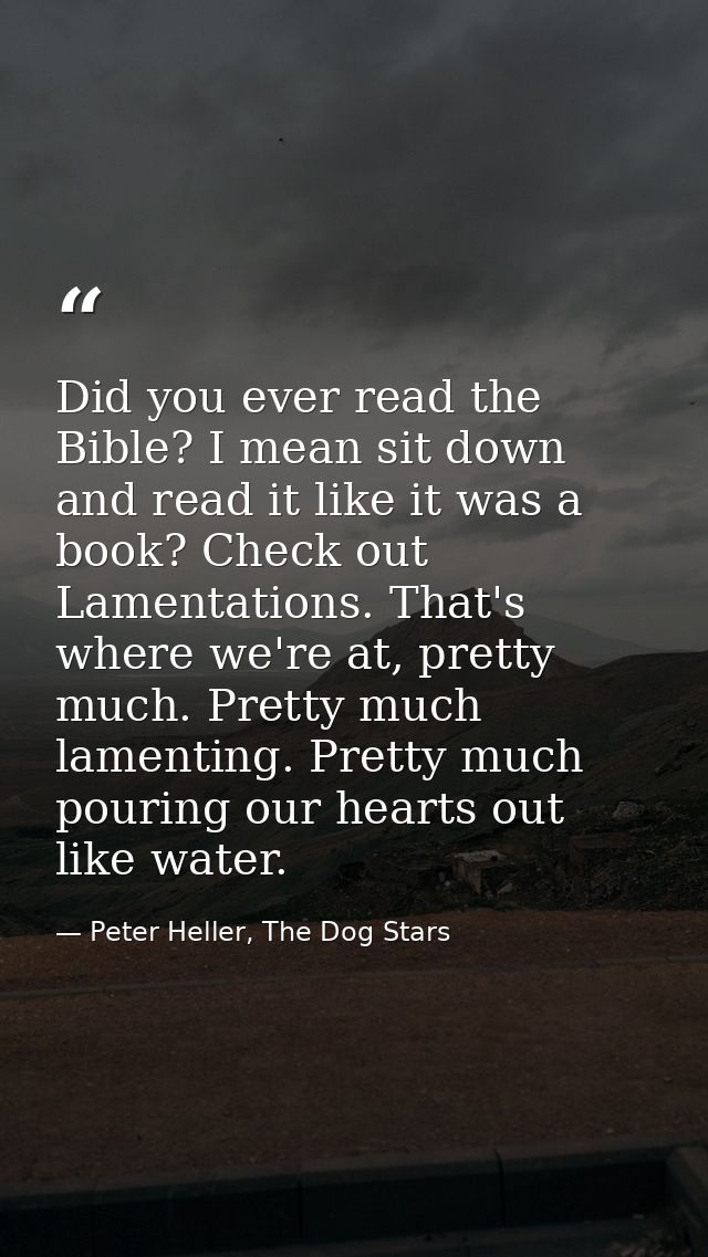 Did you ever read the Bible? I mean sit down and read it like it was a book? Check out Lamentations. That's where we're  — Peter Heller, The Dog Stars