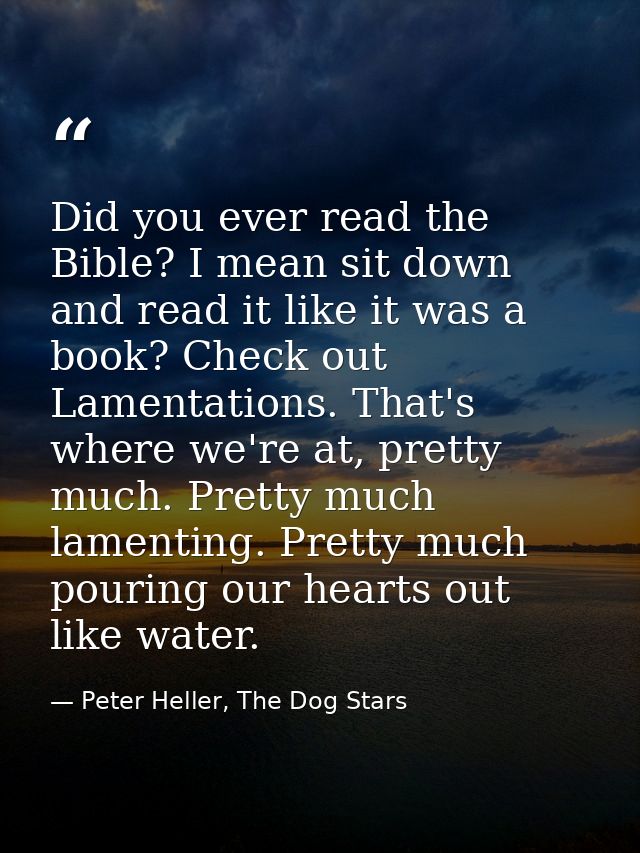Did you ever read the Bible? I mean sit down and read it like it was a book? Check out Lamentations. That's where we're  — Peter Heller, The Dog Stars