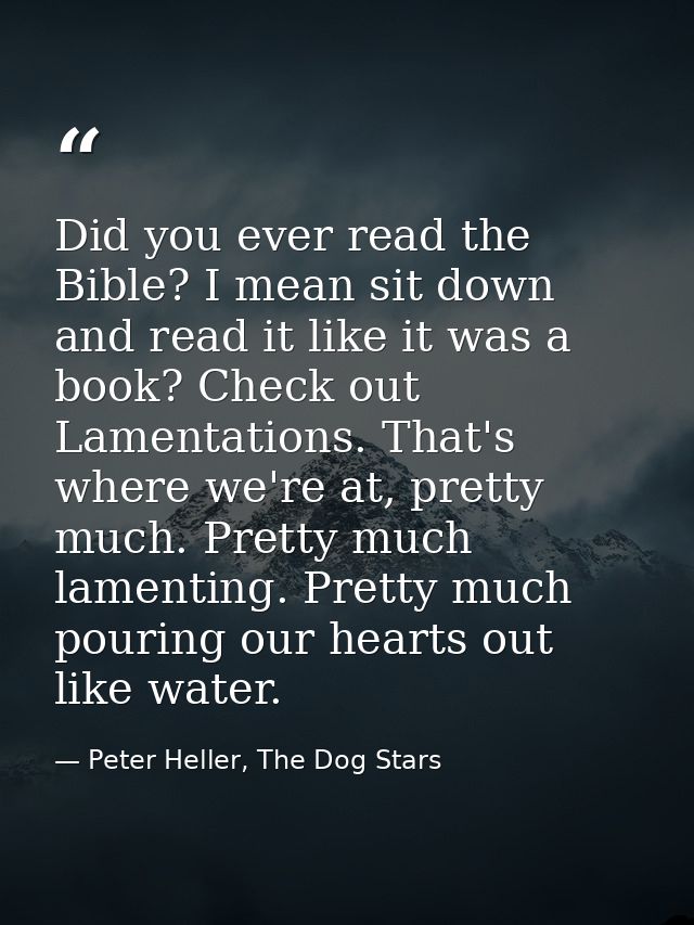 Did you ever read the Bible? I mean sit down and read it like it was a book? Check out Lamentations. That's where we're  — Peter Heller, The Dog Stars