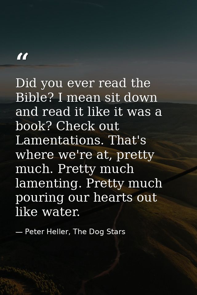 Did you ever read the Bible? I mean sit down and read it like it was a book? Check out Lamentations. That's where we're  — Peter Heller, The Dog Stars