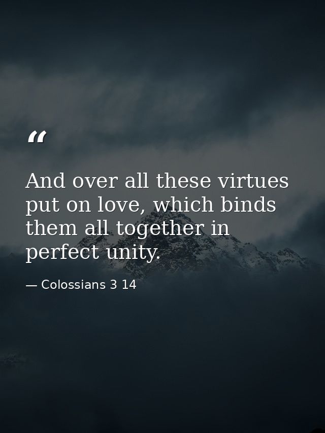 And over all these virtues put on love, which binds them all together in perfect unity. — Colossians 3 14