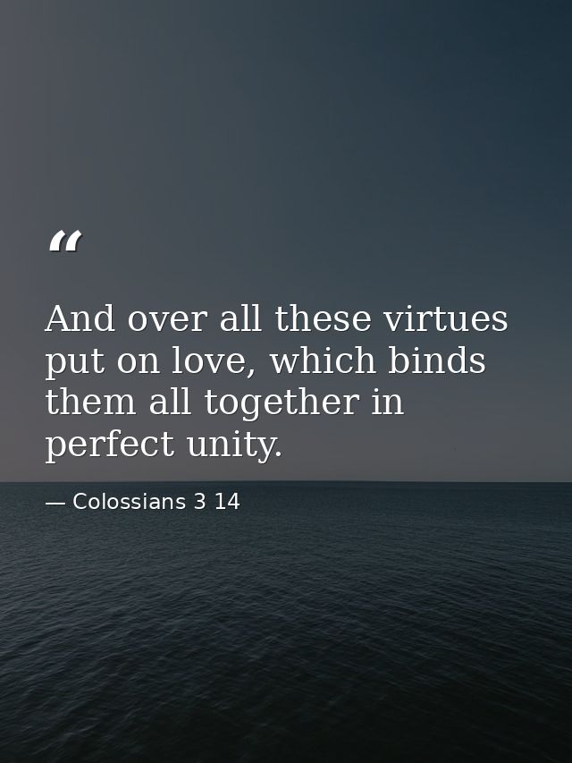 And over all these virtues put on love, which binds them all together in perfect unity. — Colossians 3 14
