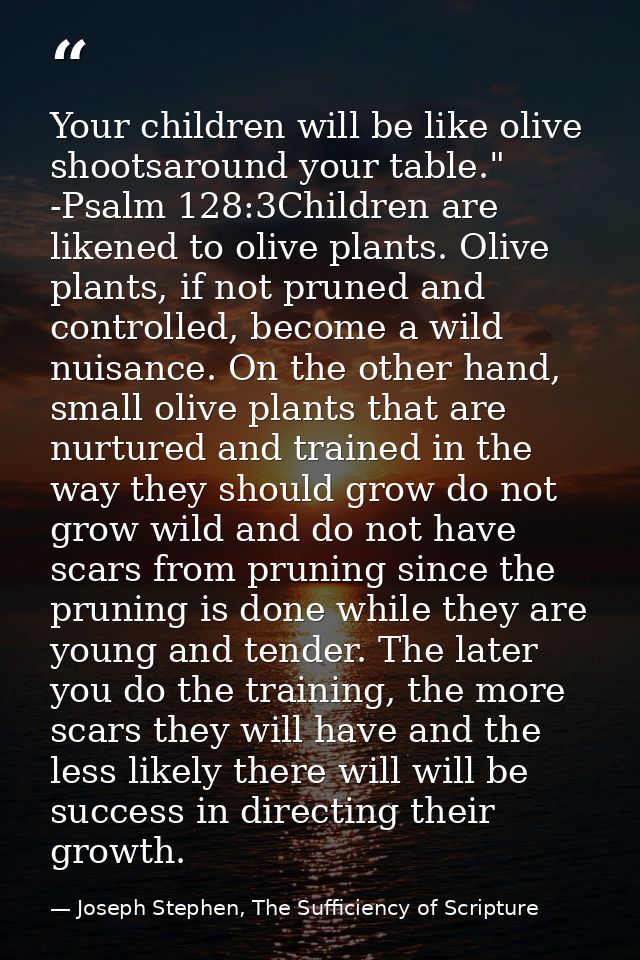 Your children will be like olive shootsaround your table." -Psalm 128:3Children are likened to olive plants. Olive plant — Joseph Stephen, The Sufficiency of Scripture