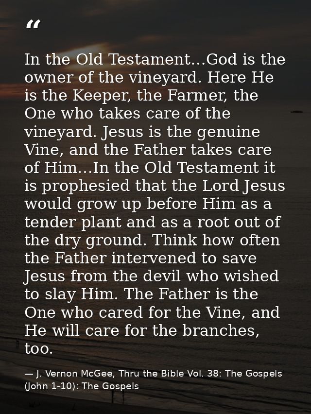 In the Old Testament…God is the owner of the vineyard. Here He is the Keeper, the Farmer, the One who takes care of the  — J. Vernon McGee, Thru the Bible Vol. 38: The Gospels (John 1-10): The Gospels