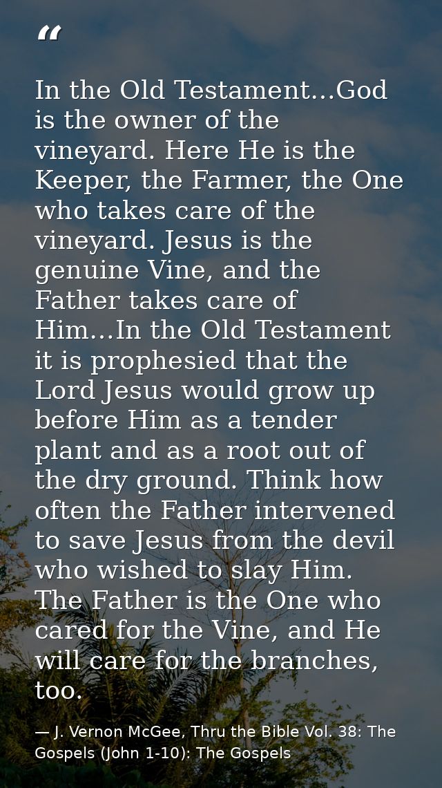 In the Old Testament…God is the owner of the vineyard. Here He is the Keeper, the Farmer, the One who takes care of the  — J. Vernon McGee, Thru the Bible Vol. 38: The Gospels (John 1-10): The Gospels