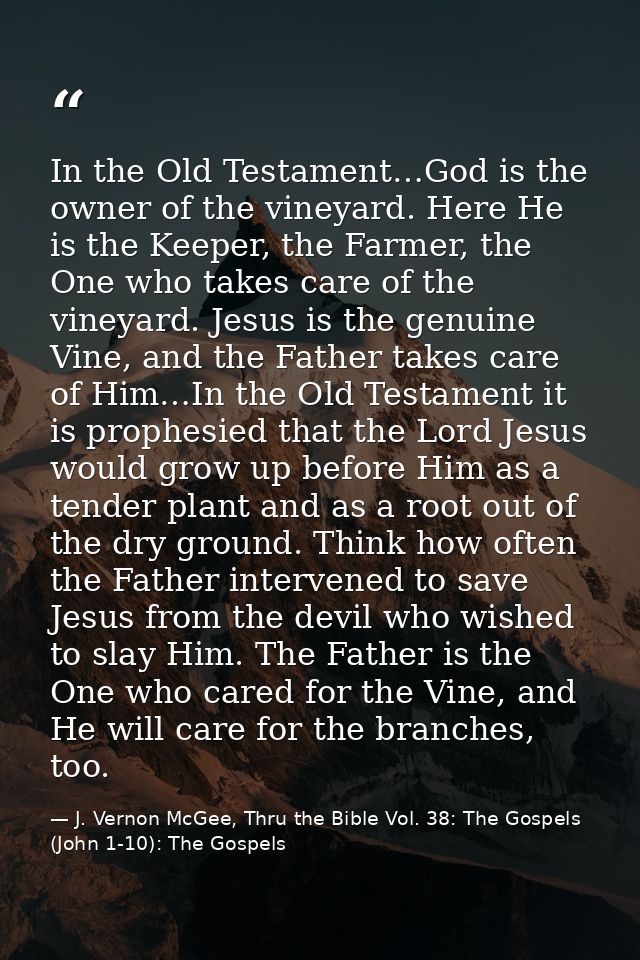 In the Old Testament…God is the owner of the vineyard. Here He is the Keeper, the Farmer, the One who takes care of the  — J. Vernon McGee, Thru the Bible Vol. 38: The Gospels (John 1-10): The Gospels