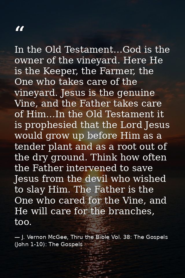 In the Old Testament…God is the owner of the vineyard. Here He is the Keeper, the Farmer, the One who takes care of the  — J. Vernon McGee, Thru the Bible Vol. 38: The Gospels (John 1-10): The Gospels