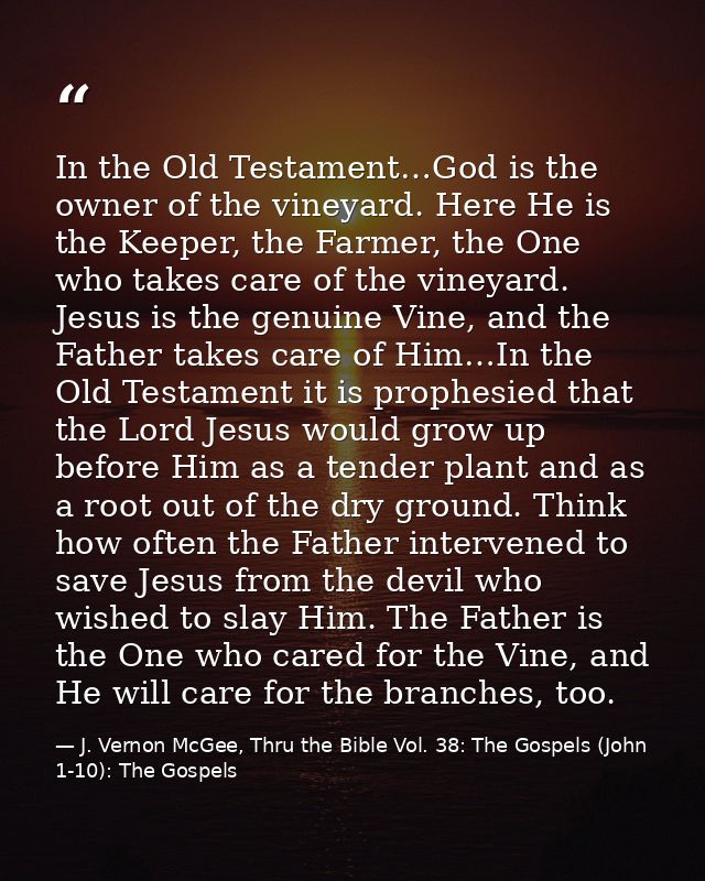 In the Old Testament…God is the owner of the vineyard. Here He is the Keeper, the Farmer, the One who takes care of the  — J. Vernon McGee, Thru the Bible Vol. 38: The Gospels (John 1-10): The Gospels