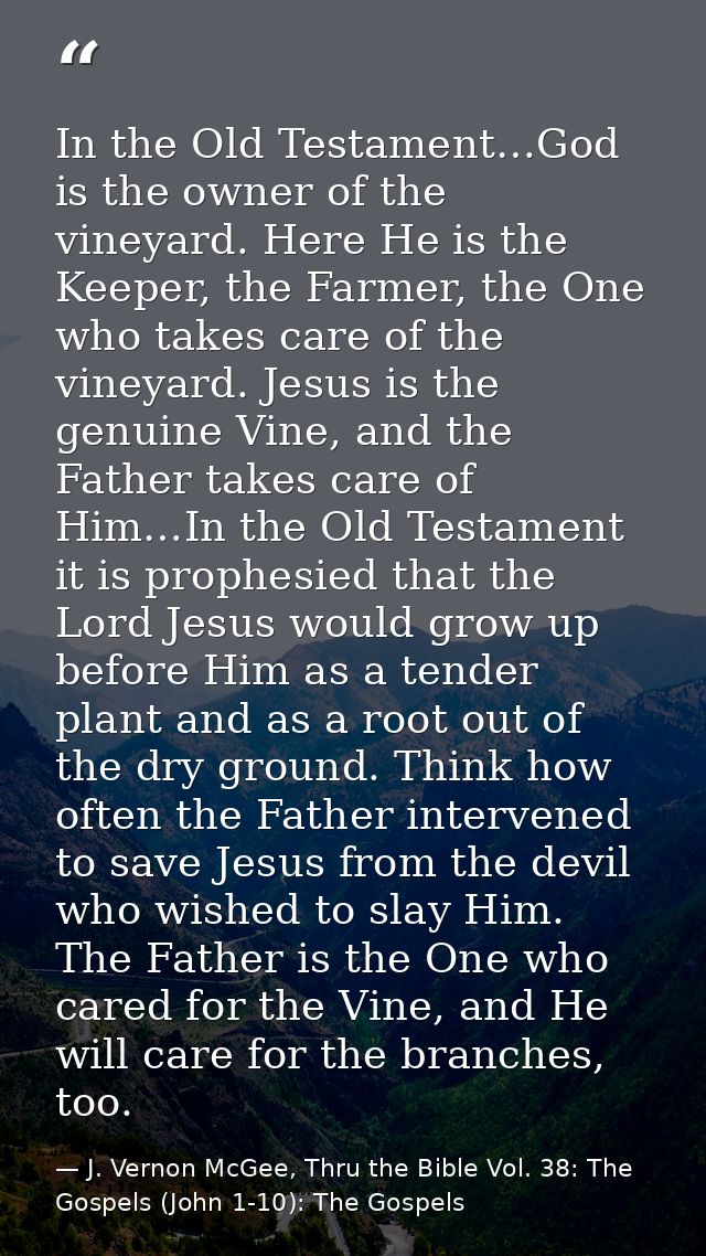 In the Old Testament…God is the owner of the vineyard. Here He is the Keeper, the Farmer, the One who takes care of the  — J. Vernon McGee, Thru the Bible Vol. 38: The Gospels (John 1-10): The Gospels