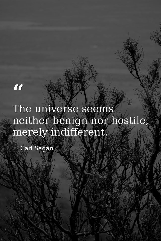 The universe seems neither benign nor hostile, merely indifferent. — Carl Sagan