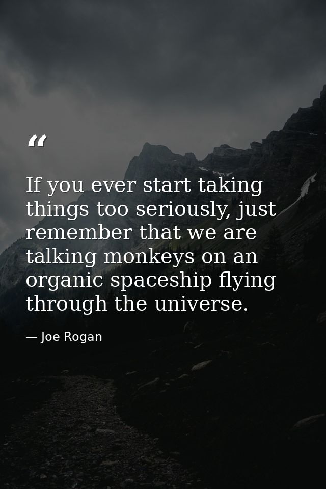 If you ever start taking things too seriously, just remember that we are talking monkeys on an organic spaceship flying  — Joe Rogan