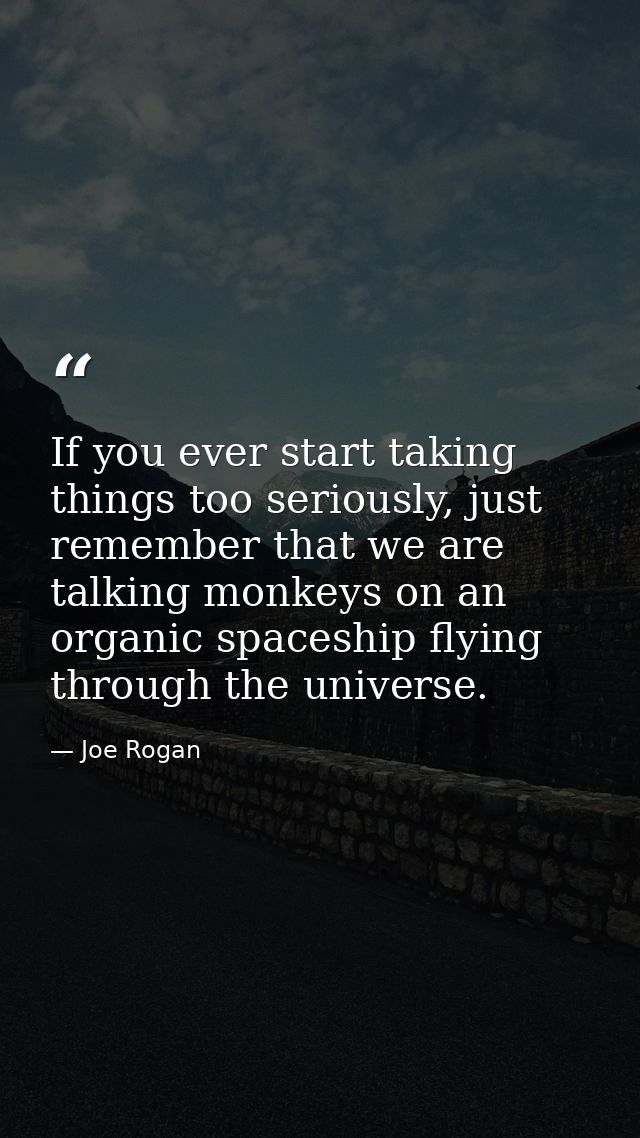 If you ever start taking things too seriously, just remember that we are talking monkeys on an organic spaceship flying  — Joe Rogan
