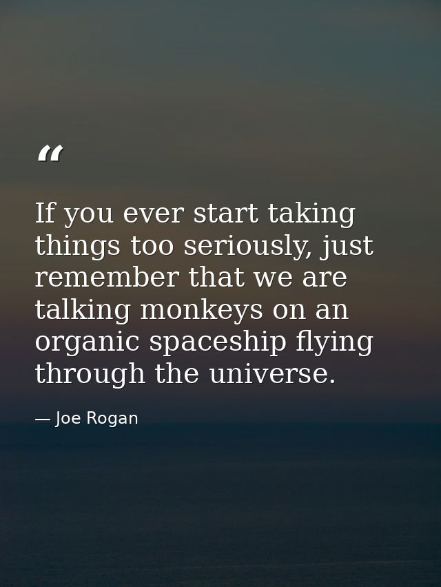 If you ever start taking things too seriously, just remember that we are talking monkeys on an organic spaceship flying  — Joe Rogan