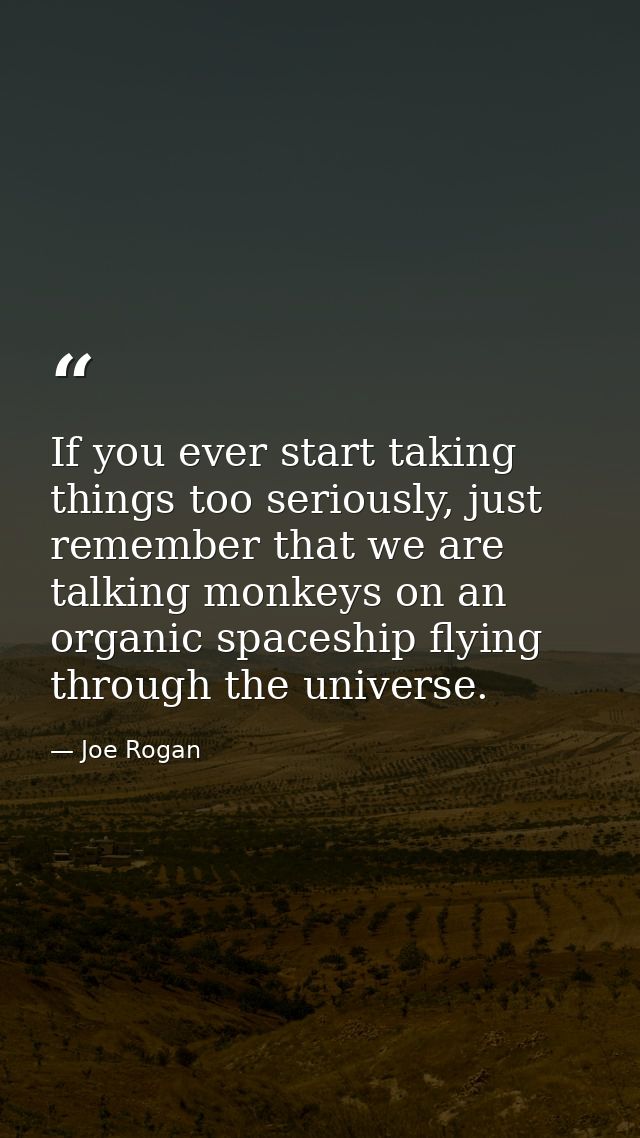 If you ever start taking things too seriously, just remember that we are talking monkeys on an organic spaceship flying  — Joe Rogan