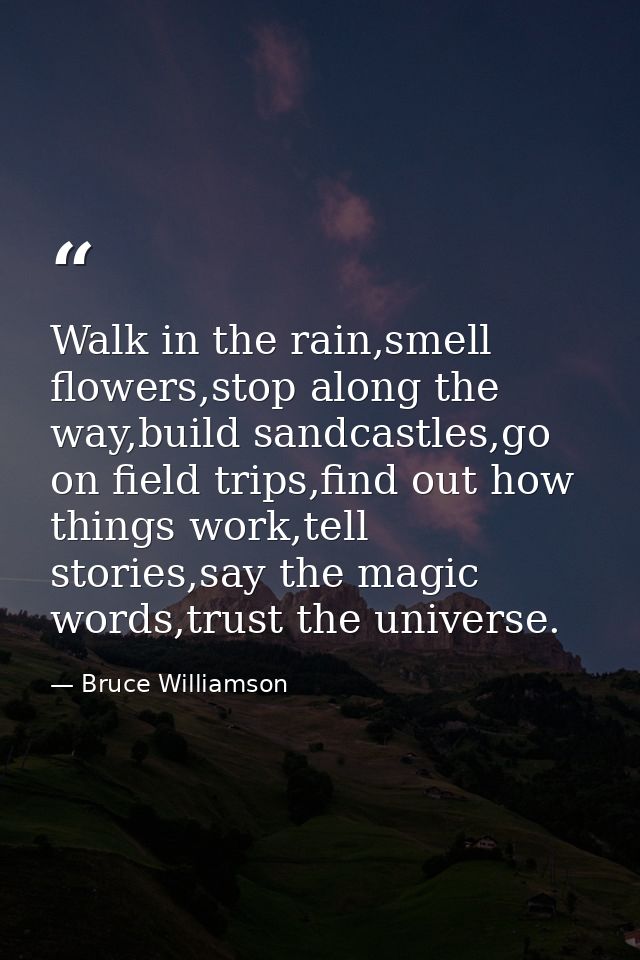 Walk in the rain,smell flowers,stop along the way,build sandcastles,go on field trips,find out how things work,tell stor — Bruce Williamson