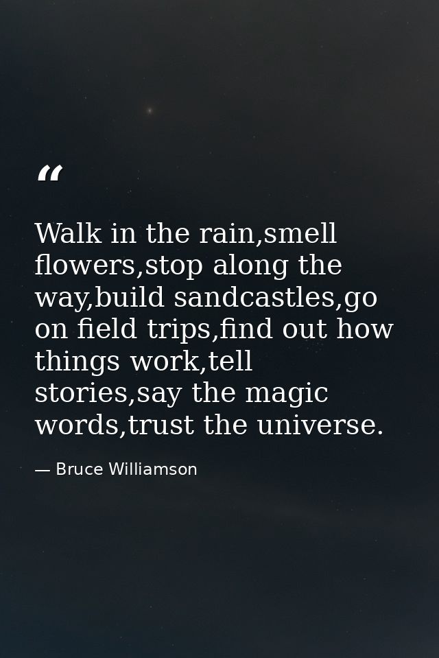 Walk in the rain,smell flowers,stop along the way,build sandcastles,go on field trips,find out how things work,tell stor — Bruce Williamson
