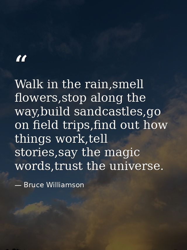 Walk in the rain,smell flowers,stop along the way,build sandcastles,go on field trips,find out how things work,tell stor — Bruce Williamson