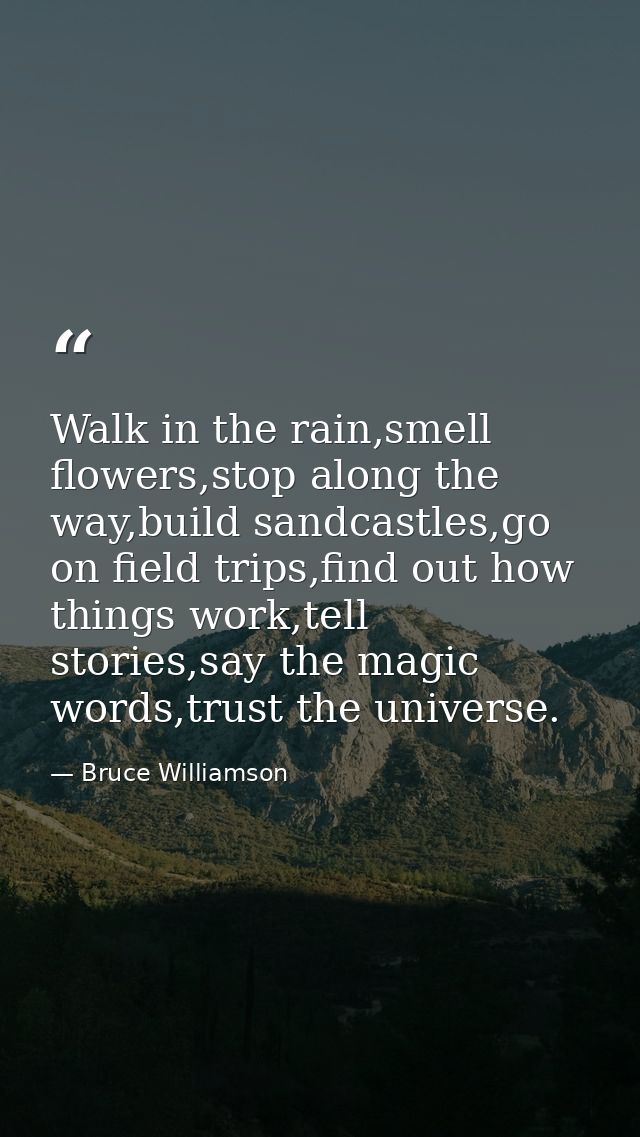 Walk in the rain,smell flowers,stop along the way,build sandcastles,go on field trips,find out how things work,tell stor — Bruce Williamson