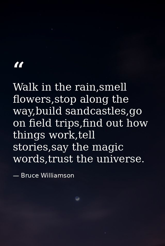Walk in the rain,smell flowers,stop along the way,build sandcastles,go on field trips,find out how things work,tell stor — Bruce Williamson