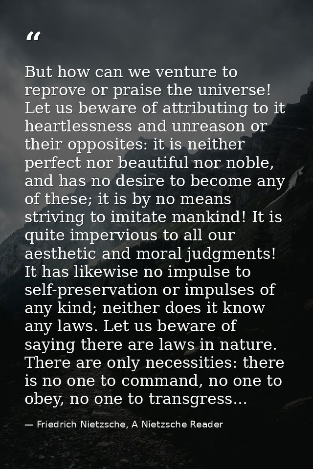 But how can we venture to reprove or praise the universe! Let us beware of attributing to it heartlessness and unreason  — Friedrich Nietzsche, A Nietzsche Reader