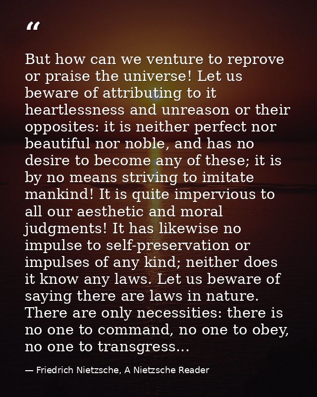 But how can we venture to reprove or praise the universe! Let us beware of attributing to it heartlessness and unreason  — Friedrich Nietzsche, A Nietzsche Reader