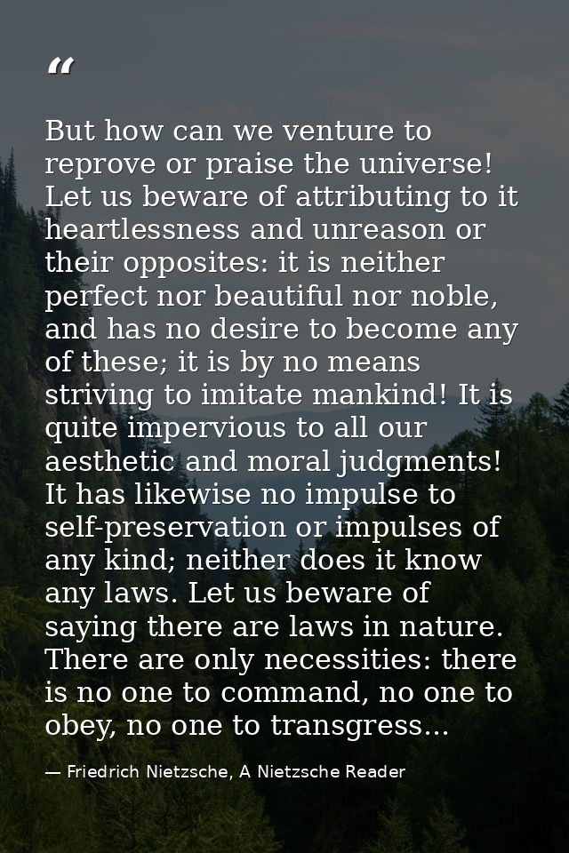 But how can we venture to reprove or praise the universe! Let us beware of attributing to it heartlessness and unreason  — Friedrich Nietzsche, A Nietzsche Reader