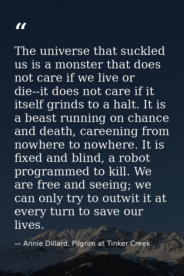 The universe that suckled us is a monster that does not care if we live or die--it does not care if it itself grinds to  — Annie Dillard, Pilgrim at Tinker Creek