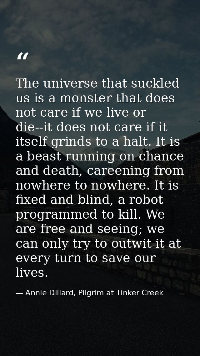 The universe that suckled us is a monster that does not care if we live or die--it does not care if it itself grinds to  — Annie Dillard, Pilgrim at Tinker Creek