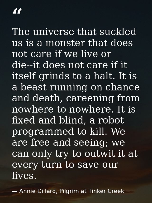 The universe that suckled us is a monster that does not care if we live or die--it does not care if it itself grinds to  — Annie Dillard, Pilgrim at Tinker Creek