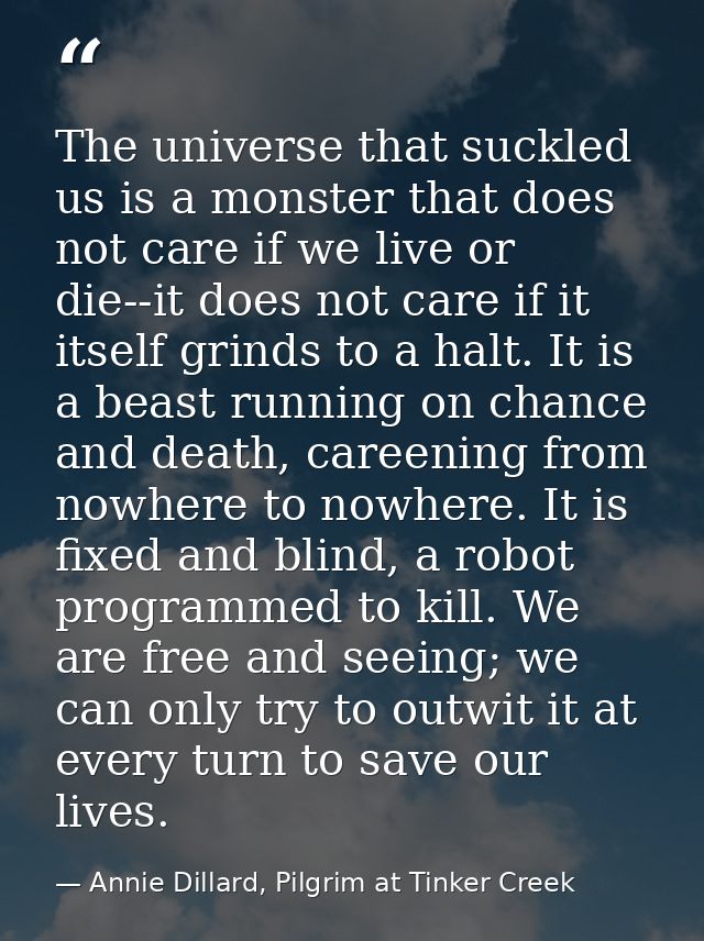 The universe that suckled us is a monster that does not care if we live or die--it does not care if it itself grinds to  — Annie Dillard, Pilgrim at Tinker Creek