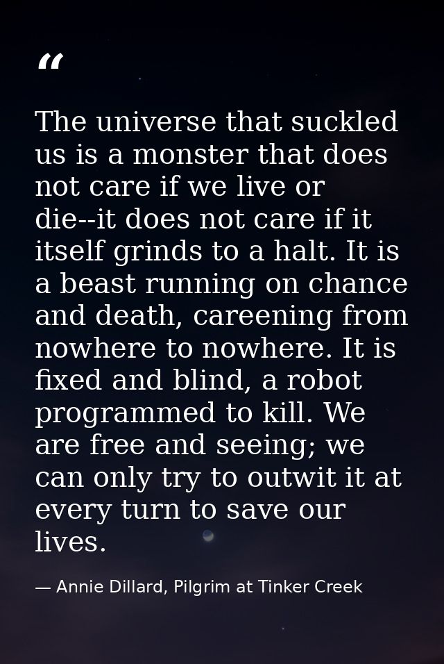 The universe that suckled us is a monster that does not care if we live or die--it does not care if it itself grinds to  — Annie Dillard, Pilgrim at Tinker Creek