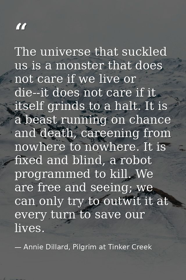 The universe that suckled us is a monster that does not care if we live or die--it does not care if it itself grinds to  — Annie Dillard, Pilgrim at Tinker Creek