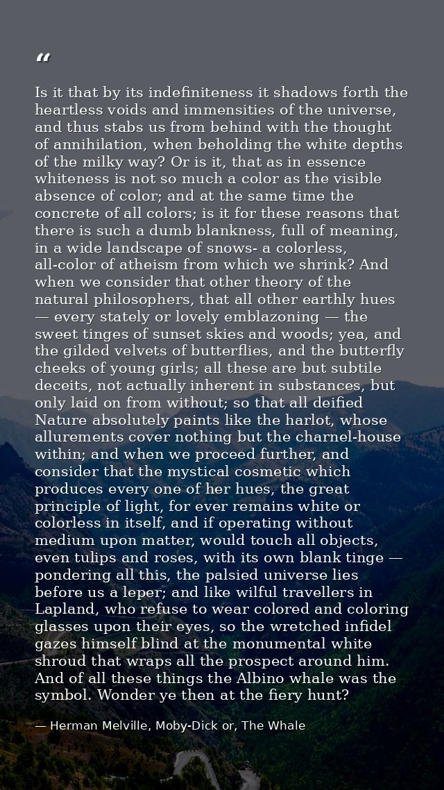 Is it that by its indefiniteness it shadows forth the heartless voids and immensities of the universe, and thus stabs us — Herman Melville, Moby-Dick or, The Whale