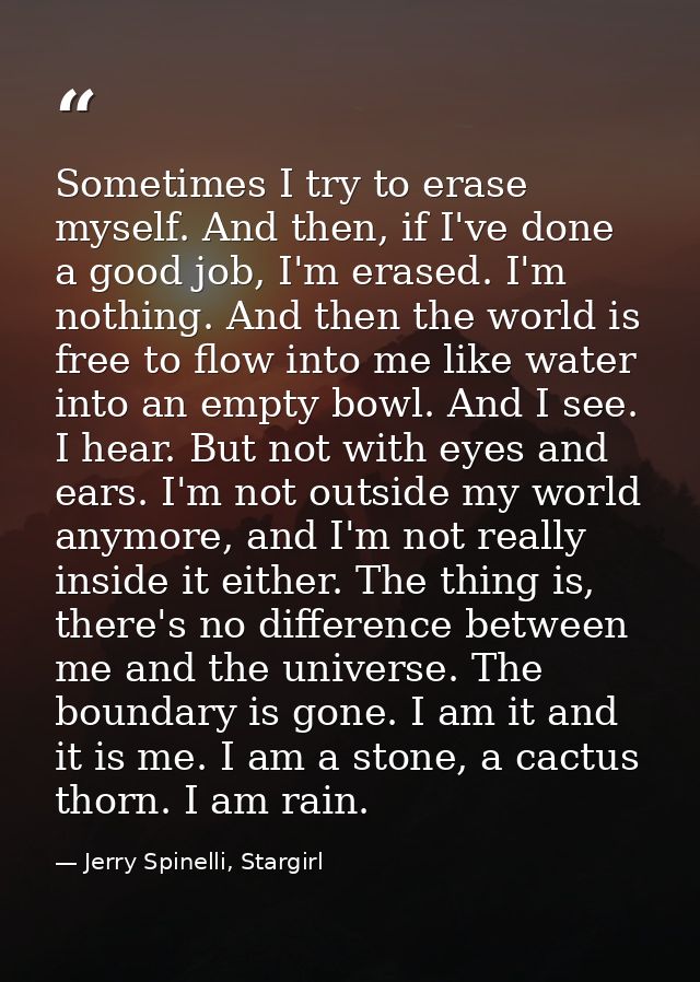 Sometimes I try to erase myself. And then, if I've done a good job, I'm erased. I'm nothing. And then the world is free  — Jerry Spinelli, Stargirl